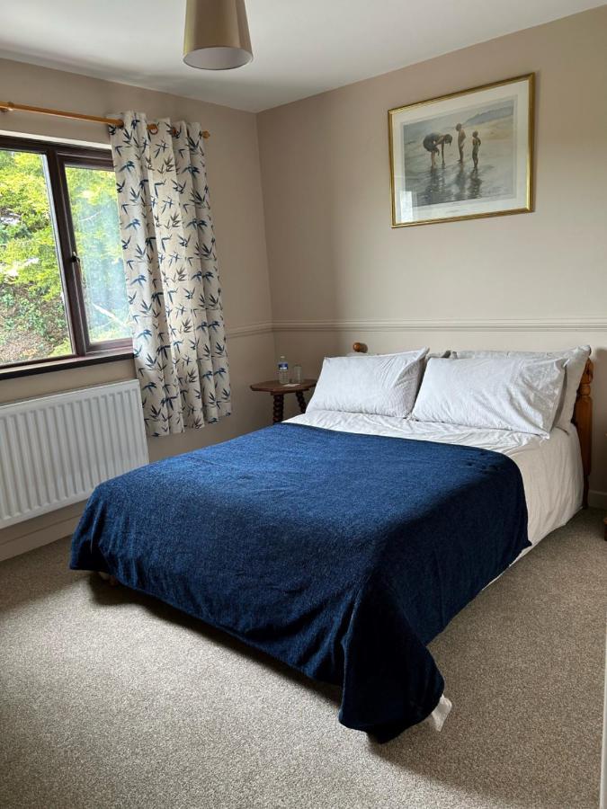 Long View Guest Accommodation Downpatrick Dış mekan fotoğraf